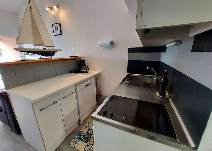Apartamento Climatisé 2 Pièces à 160m De La Avec Terrasse, Parking Privé Et Proche Commerces - Fr-1-423-240 Le Grau-dʼAgde