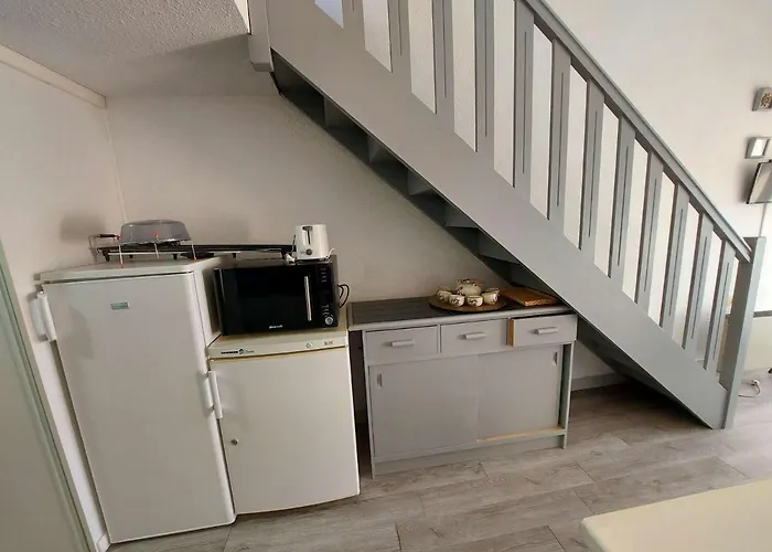 Apartamento Climatisé 2 Pièces à 160m De La Avec Terrasse, Parking Privé Et Proche Commerces - Fr-1-423-240 *