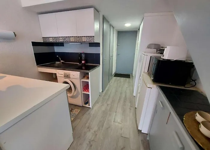 Climatisé 2 Pièces à 160m De La Avec Terrasse, Parking Privé Et Proche Commerces - Fr-1-423-240