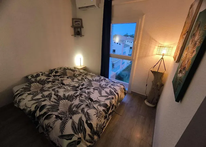 Apartamento Climatisé 2 Pièces à 160m De La Avec Terrasse, Parking Privé Et Proche Commerces - Fr-1-423-240 Le Grau-dʼAgde